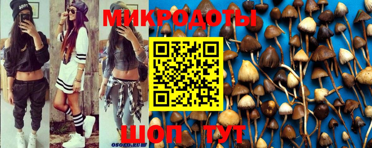 Галлюциногенные грибы Psilocybine cubensis Рязань
