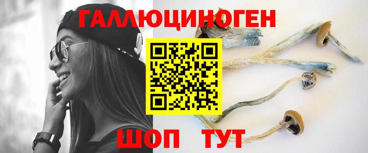 Псилоцибиновые грибы MAGIC MUSHROOMS  Вход с VPN  Рязань  Галлюциногенные грибы Psilocybe 